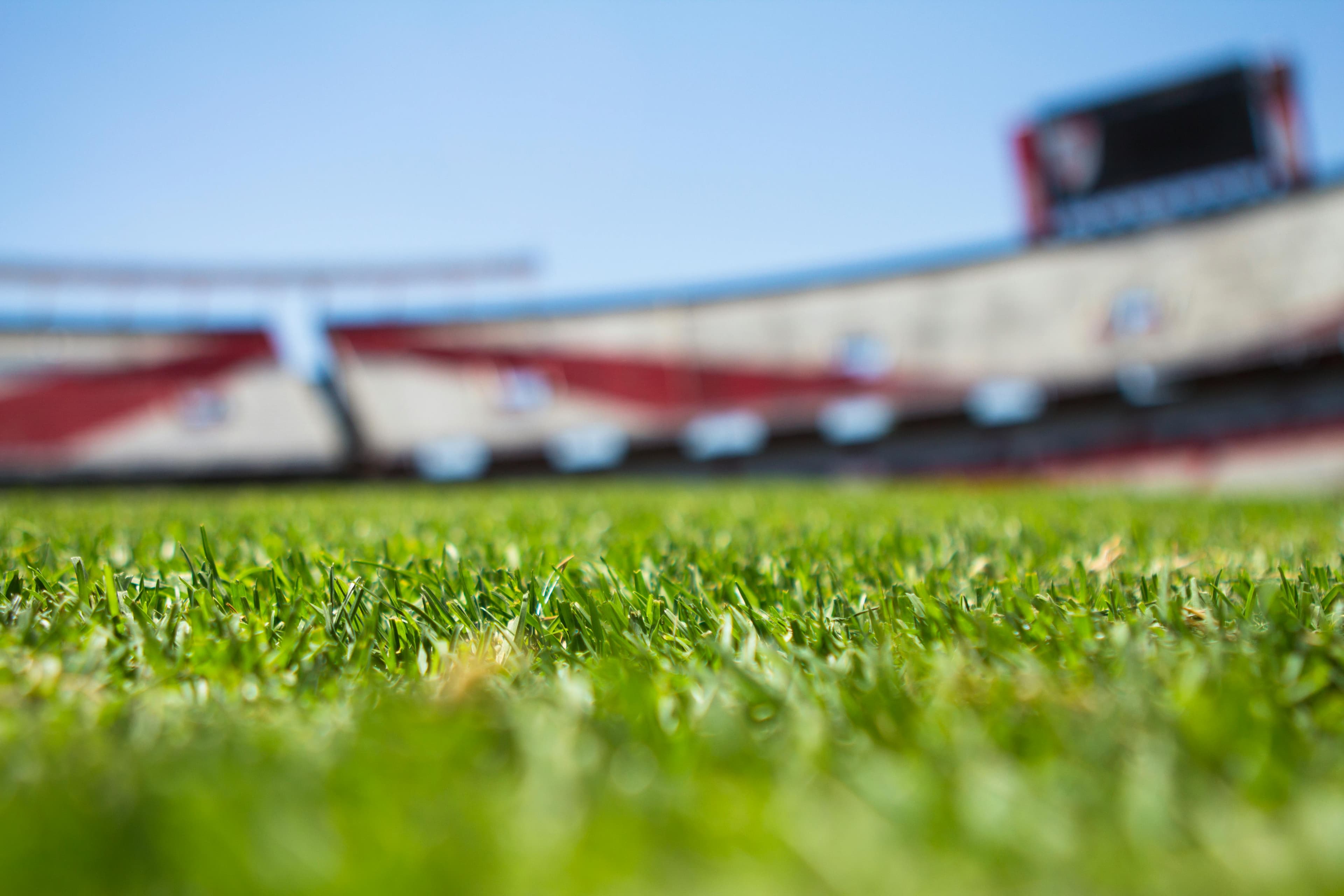 Revenue Optimization for Sports Venues